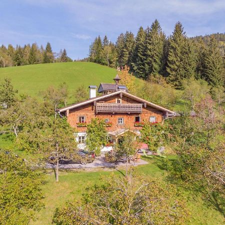 Holiday Home Oberhaslach By Interhome Abtenau Exterior photo