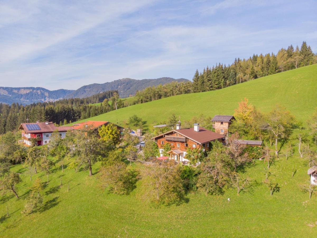 Holiday Home Oberhaslach By Interhome Abtenau Exterior photo